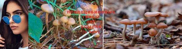 меф Абинск