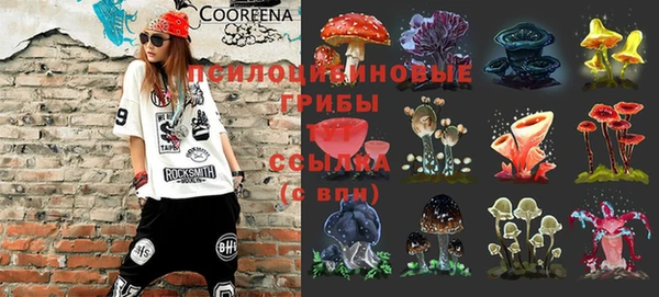 кокс Абдулино
